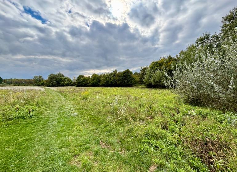 NA PREDAJ | investičný developerský pozemok | Rusovce |  - Zeleň na developerských pozemkoch v Bratislave - Rusovciach, Pri Pieskovom Hone, s chodníkom.