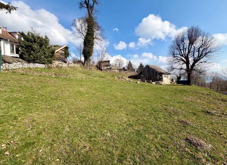 Na predaj slnečný pozemok, 1066 m², rodinný dom (LV),  Lubina - Pozemky - bývanie v obci Lubina na ulici Lubina, so stromami a trávnatou plochou.