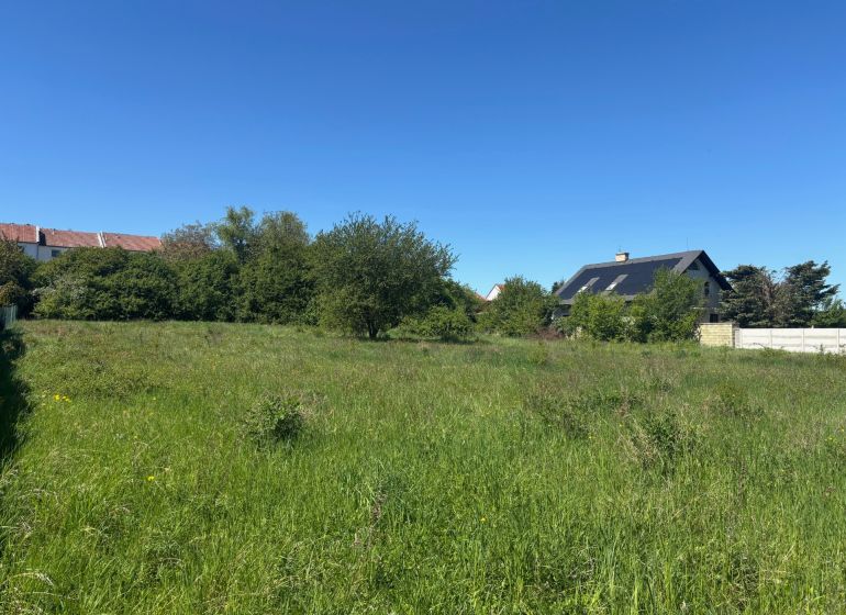 LUKRATÍVNY SP V BUDMERICIACH NA VÝSTAVBU RD ALEBO  BYT.DOMOV - 4459 m2 - Zelená plocha na Predaj pozemkov na bývanie v Budmericiach na ulici J. Rašu.