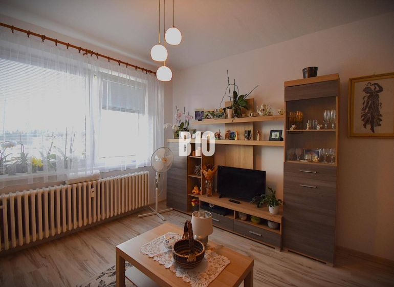 25m2 Garsónka v Žiline - Vlčince - Obývacia izba s nábytkom a dekoráciami v Rekreačnom apartmáne, podlaha s dreveným dekorom.