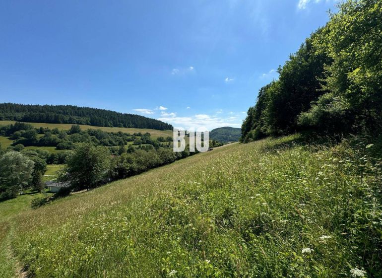 Slnečný stavebný pozemok Dolný Vadičov 7321m2 - Kopcovitá krajina s lúkou v Dolnom Vadičove, ideálna na pozemky - bývanie.