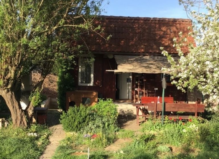 Hľadáte únik z mesta, ponúkame na predaj slnečný pozemok s chatkou - Záhrada v Bohdanovciach nad Trnavou; zeleň, lavičky, altánok, kvety, chodník, strom, jar.