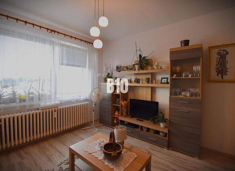 25m2 Garsónka v Žiline - Vlčince - Obývacia izba s dekoratívnymi prvkami a podlahou s dreveným dekorom v rekreačnom apartmáne.
