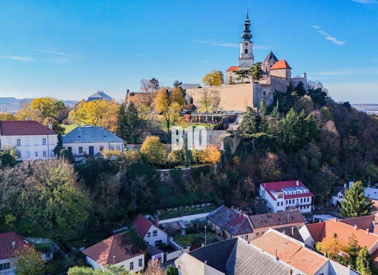 Bývanie alebo podnikanie priamo pod HRADOM? - Hrad v Nitre obklopený domami a bohatou zeleňou počas dňa.