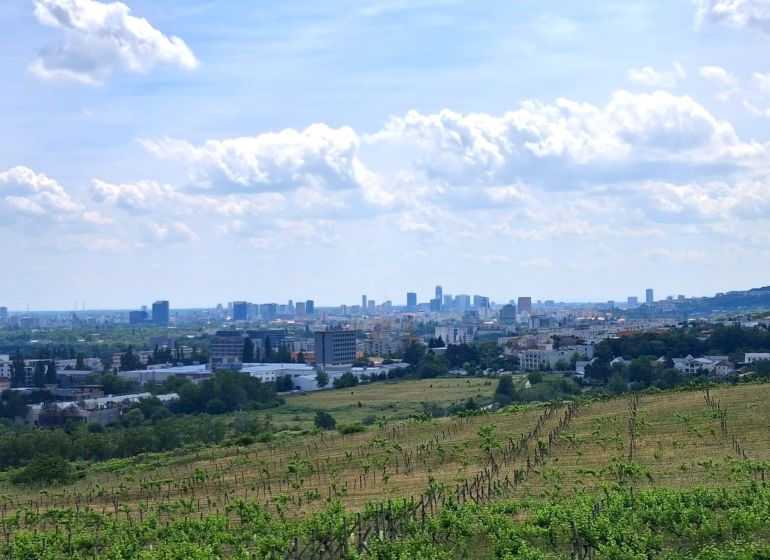 1.BCR | VINICA  S VÝHĽADOM NA MESTO, BRATISLAVA - RAČA - Vinice vo Vtáčikovej ceste v Bratislave - Rači s panoramatickým výhľadom na mesto.