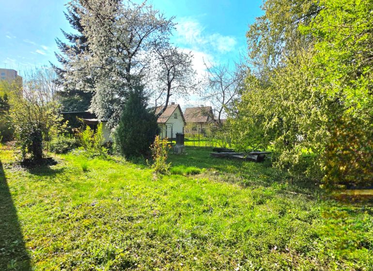 : Záhrada s chatkou, Košice – Krásna, 716 m², elektrina - Záhrady na Ulici 1. mája v Košiciach-Krásnej s trávnikom a ovocnými stromami.