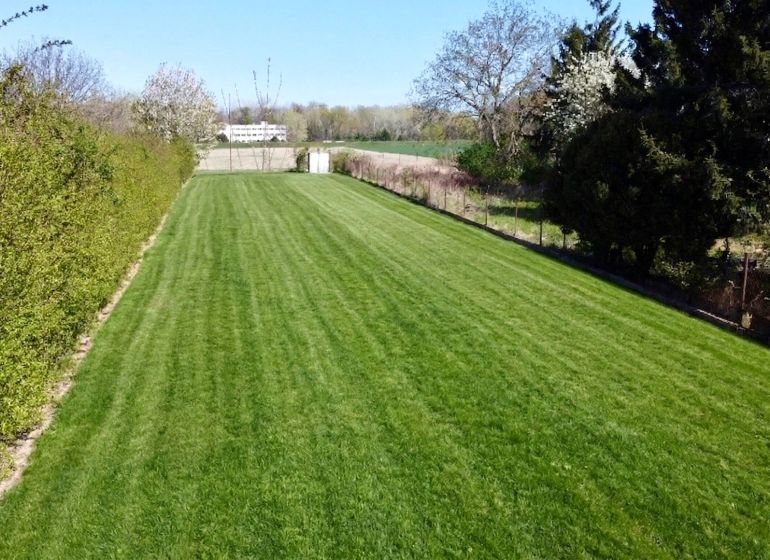 Priestor pre váš vysnívaný domov – pozemok 1114 m² - Horné Topoľníky - Rozľahlý trávnatý pozemok na bývanie v Topoľníkoch, obklopený zeleňou a stromami.