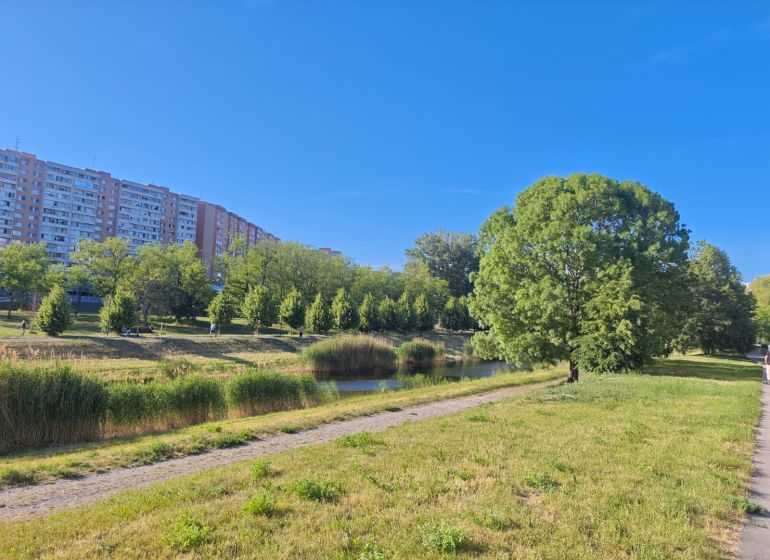 Na prenájom 1 izbový byt, 34 m2, Bratislava, Petržalka, Lachova ulica - Sídlisko s bytovými domami, zeleňou a chodníkom v Petržalke na Lachovej.