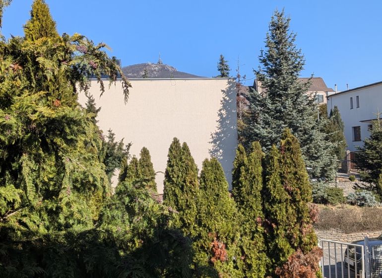 Radový domček na Zobore s výhľadom na mesto, Ružová ulica, garáž - Záhrada s ihličnanmi pri rodinnom dome na Ružovej ulici v Nitre, slnečný deň.
