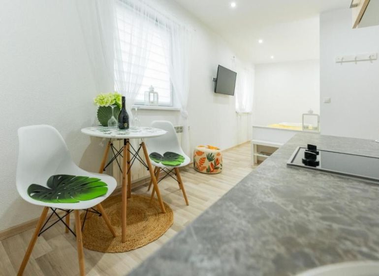 Moderný apartmán v centre Rajeckých Teplíc rovno oproti kúpeľom Afrodi - Rekreačný apartmán s podlahou s dreveným dekorom, kuchynským kútom a sedením.