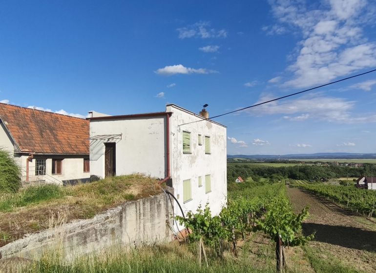 3-podlažný vínny domček s vinicou v obci Vinica, okr. V. Krtíš. - Vidiecky dom pri vinohradoch vo Viniciach, s krásnym výhľadom na okolitú krajinu.