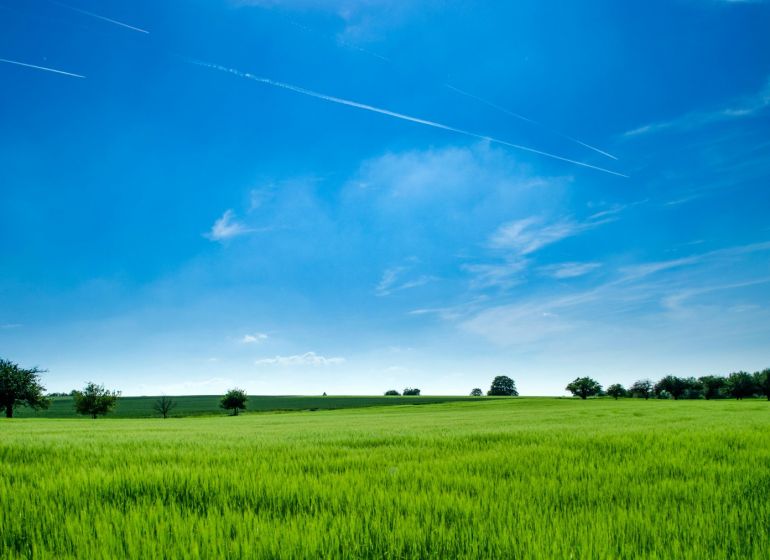 Priestranný stavebný pozemok v obci Veľké Lovce – vhodný aj na 2 RD - Zelené pole pod modrou oblohou, vhodné pre pozemky - bývanie v Čečejovciach.