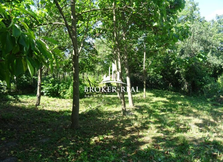 Stavebný pozemok - 1250 m2  Abaujvár - Záhrada s prebujnelou zeleňou a stromami v lokalite Abaujváru, pozemky - bývanie.