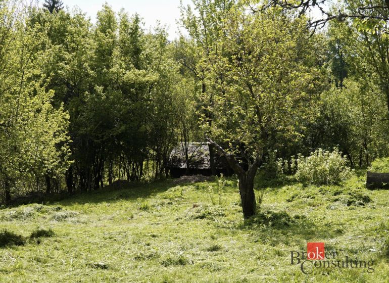 Na predaj pozemok 1898 m² - Horná Lehota, Nízke Tatry - Záhrady v Banskej Bystrici s hustým porastom stromov a trávnatou plochou.
