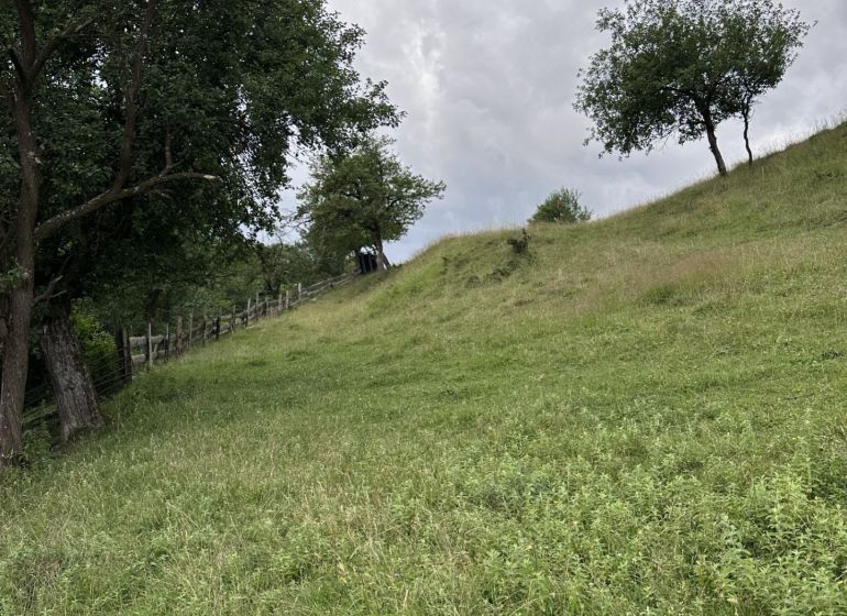 Pozemok na predaj – Horný Vadičov, 1071m2 - Zelené svahy a stromy na poľnohospodárskych a lesných pozemkoch blízko Horného Vadičova.