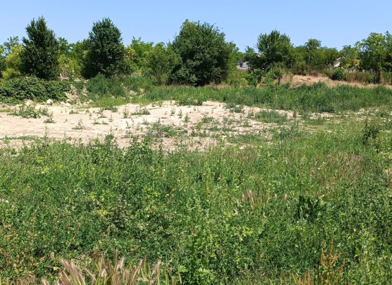 Na predaj 2 pozemky s projektami RD v obci Čechy - Pozemok v meste Čechy ponúka výhľad na zeleň a rozmanitú vegetáciu.