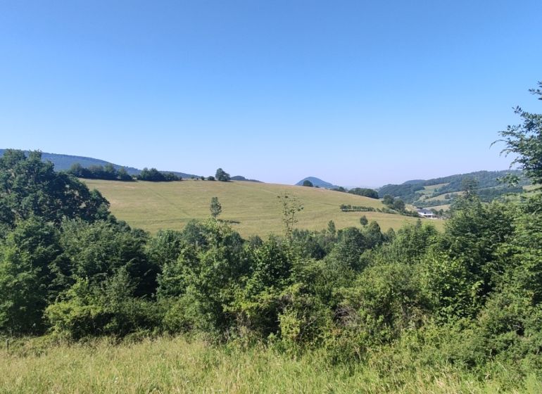 Slnečný pozemok 7 928 m² v Hornom Vadičove s výnimočným potenciálom - Kopcovitá krajina Horného Vadičova, poľnohospodárske a lesné pozemky s rozľahlými lúkami a zeleňou.