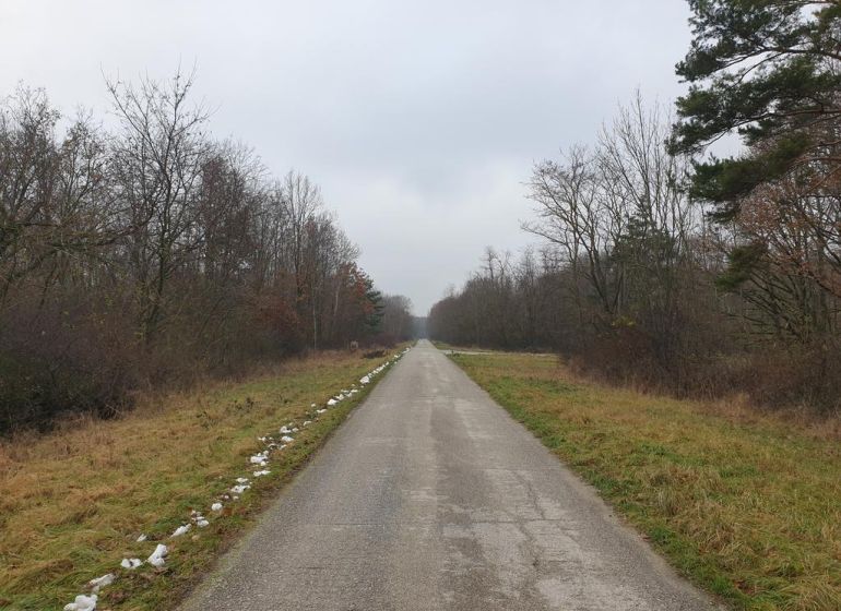 Hľadáte les a lúku v okrese Pezinok? Budmerice - Lesná cesta obklopená stromami vedie cez poľnohospodárske a lesné pozemky na vidieku.