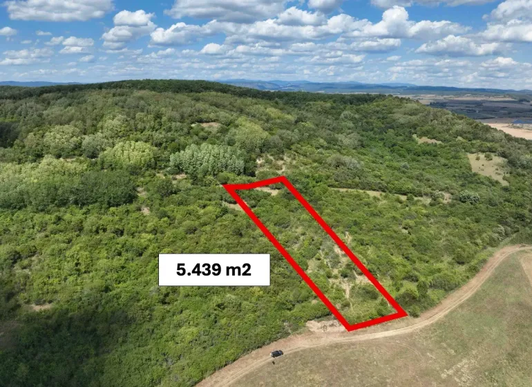 Behynce – 5.439 m2 LESNÝ pozemok v podiele 1/1 – Predaj - Poľnohospodárske a lesné pozemky v Tornali obklopené hustými lesmi a zeleňou.