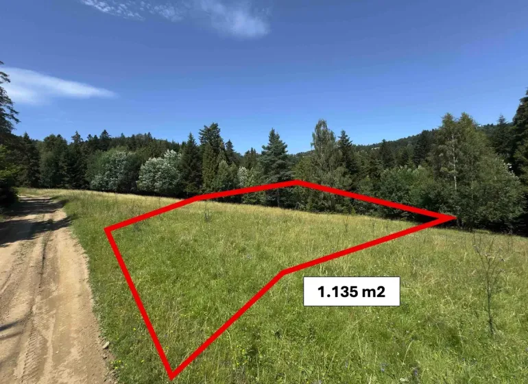 Vyšné Ružbachy – 1.016 m2 POZEMOK na CHATU  pri lese  - Pozemok s rozlohou 1,135 m² v prírode pri zvláštnych nehnuteľnostiach v Starej Ľubovni.