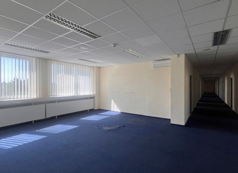 Prenájom kancelárskych priestorov  Drieňová ul., 209 m2 - 600 m2 - Kancelárie s modrým kobercom, veľkými oknami a podhľadovým stropom na Drieňovej ulici.