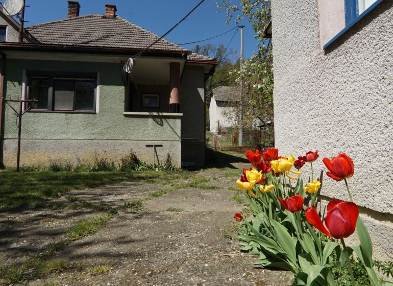NA PREDAJ – chalupa alebo rodinný dom na pokojné bývanie  - Rodinný dom v Krajnom so záhradou a červenými a žltými tulipánmi na jar.