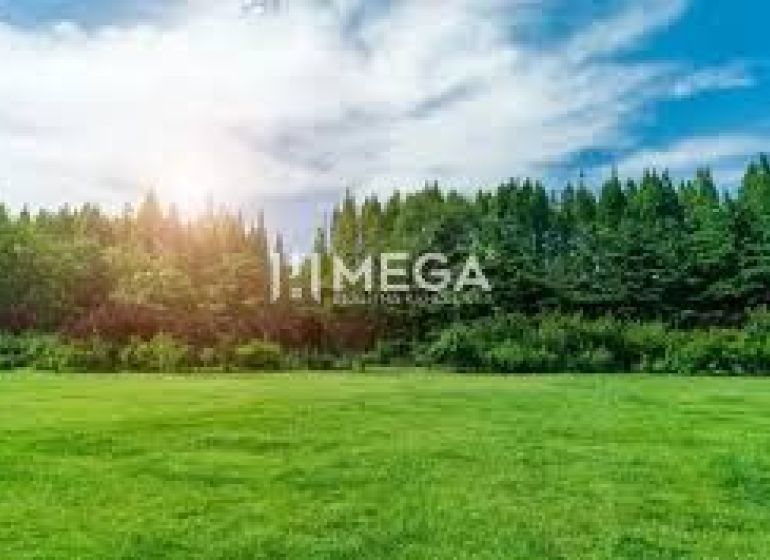 NA PREDAJ - INVESTÍČNÉ LESNÉ POZEMKY V OKOLÍ MESTA HUMENNÉ - Záhrady v Humennom s pečaťou 