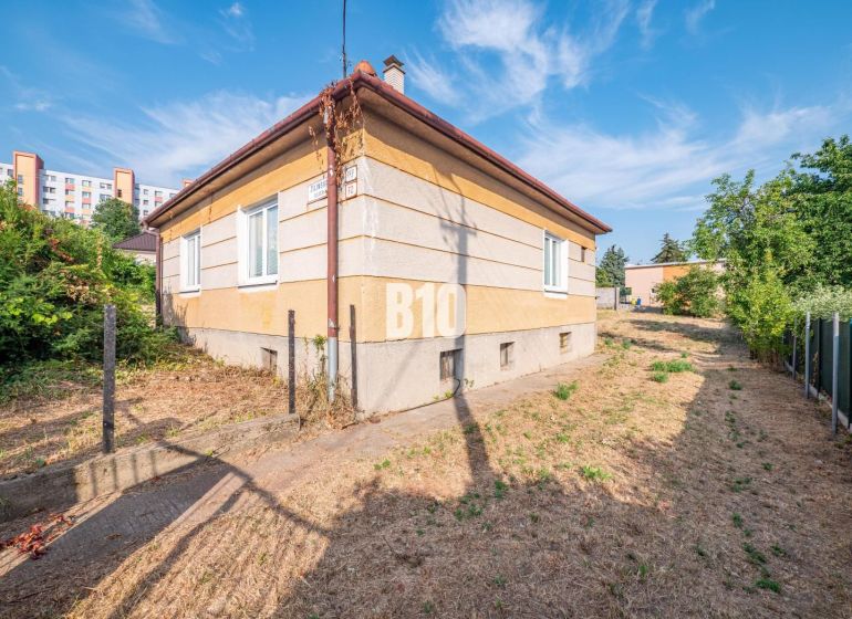 Rodinný DOM priamo v Nitre / bývanie alebo podnikanie? - Rodinný dom v Nitre s trávnatým okolím, pri ňom vedie úzka cesta.