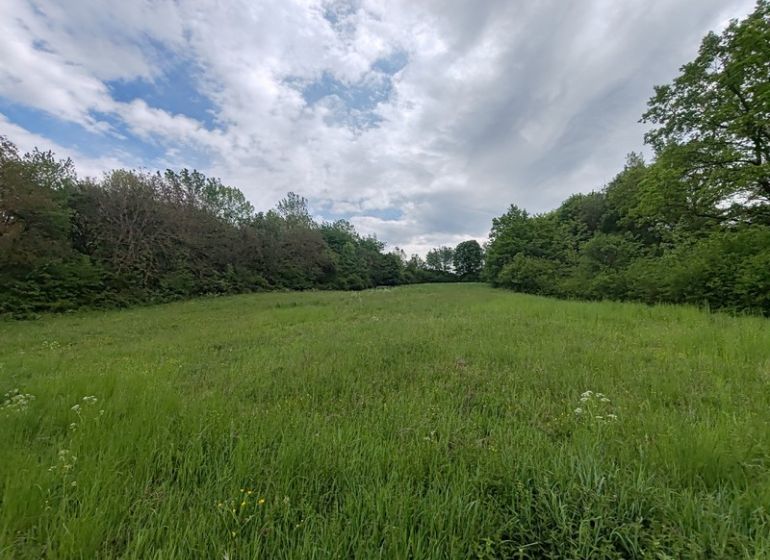Pozemok na samote s panorámou hradu Čičva — ideálne na dom alebo farmu - Pozemky - bývanie na Hlavnej ulici v Tovarnianskej Polianke, vhodné pre výstavbu.