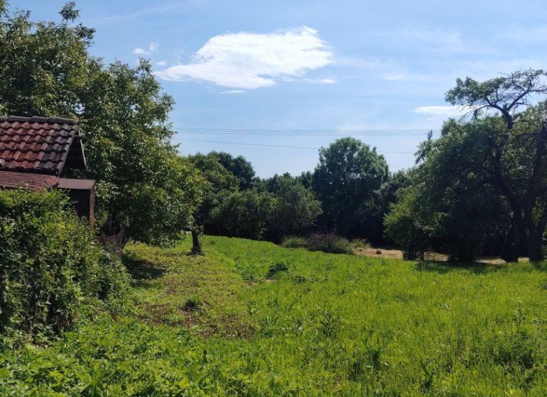 Na predaj pozemok pri Prešove - Zelené pozemky na bývanie v Žehni obklopené stromami a modrou oblohou.