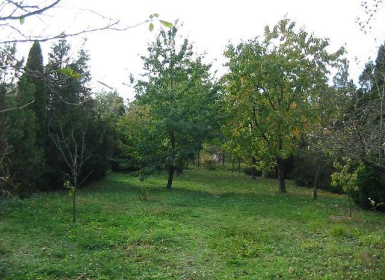 Rodinný dom s administratívnou budovou, dvojgarážou a veľkým pozemkom - Záhrada pri rodinnom dome v mestskej časti Bratislava - Dúbravka na ulici Na vrátkach.