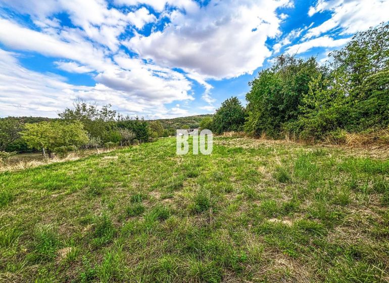 Na predaj pozemok v Kolíňanoch – 2 700 m² - Pozemky - bývanie v Kolíňanoch, zelená lúka obklopená stromami a modrou oblohou.