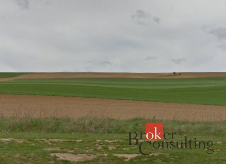 Na predaj pozemky, Lužianky, 60 €/m2 - Rozľahlé zelené polia v Lužiankach, vhodné pre pozemky - bývanie.