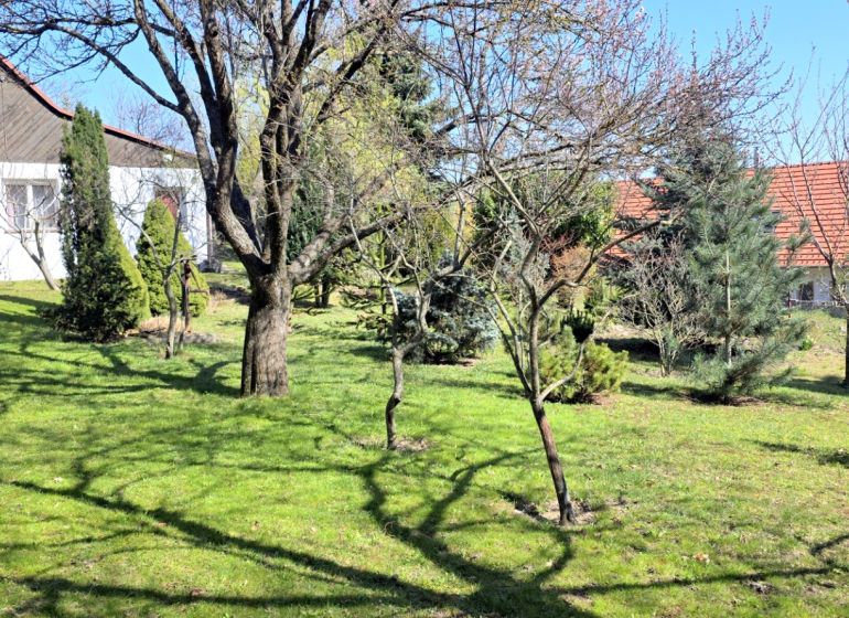 Jedinečný pozemok s domom pod lesom vo Svätom Jure – Neštich  - Záhrada v lokalite Svätý Jur na Mariánskej ceste s ovocnými stromami pre Pozemky - bývanie.