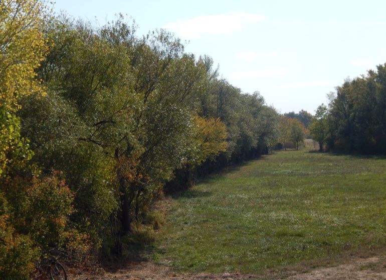 Pozemok s výmerou 511m2 v Martovciach-pri rieke Žitava. - Záber na zelenú lúku obklopenú stromami na Rekreačných pozemkoch v Martovciach.
