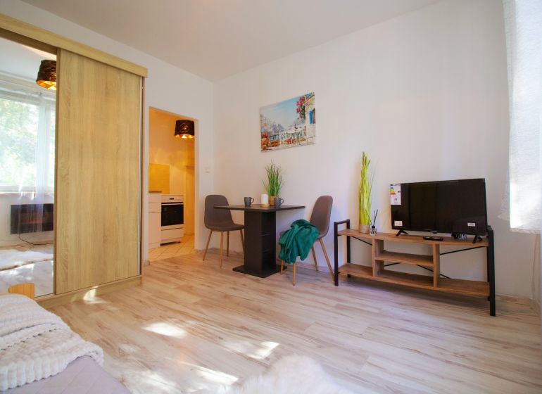 Exkluzívne na predaj kompletne zrekonštruovaná garsónka 25 m2, Žilina - Garsónka so svetlou obývacou izbou, podlahou s dreveným dekorom a kuchynským kútom.