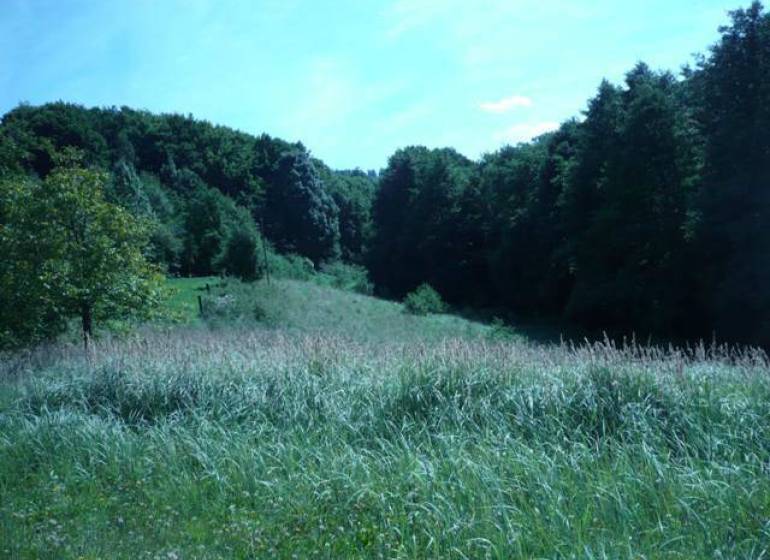 Málinec Poľnohospodárske a lesné pozemky predaj reality Lučenec