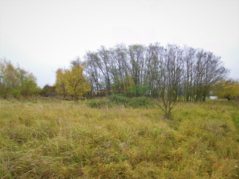 Predaj – veľký stavebný pozemok v Stupave