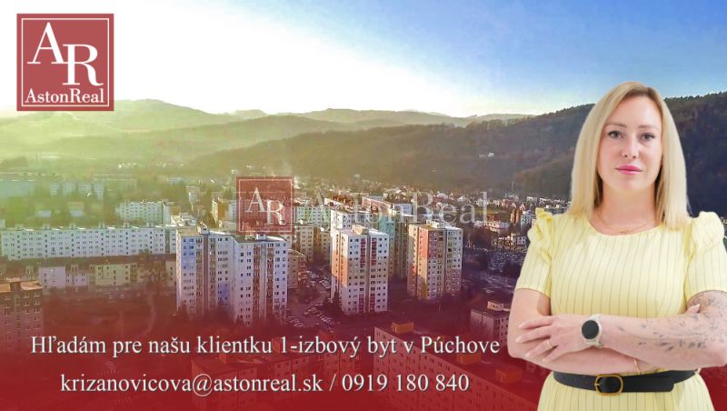 Súrne hľadám pre našu klientku 1-izbový byt v Púchove - puchov-mesto-púchov.jpg