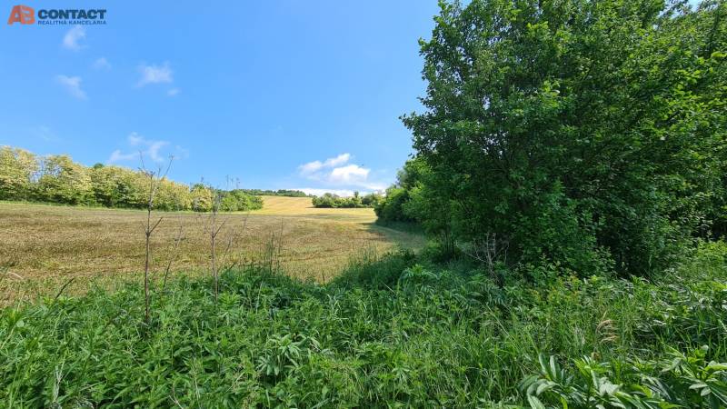 Romantický pozemok s pôvodným domom v obci Hubina - okolie v zadnej časti