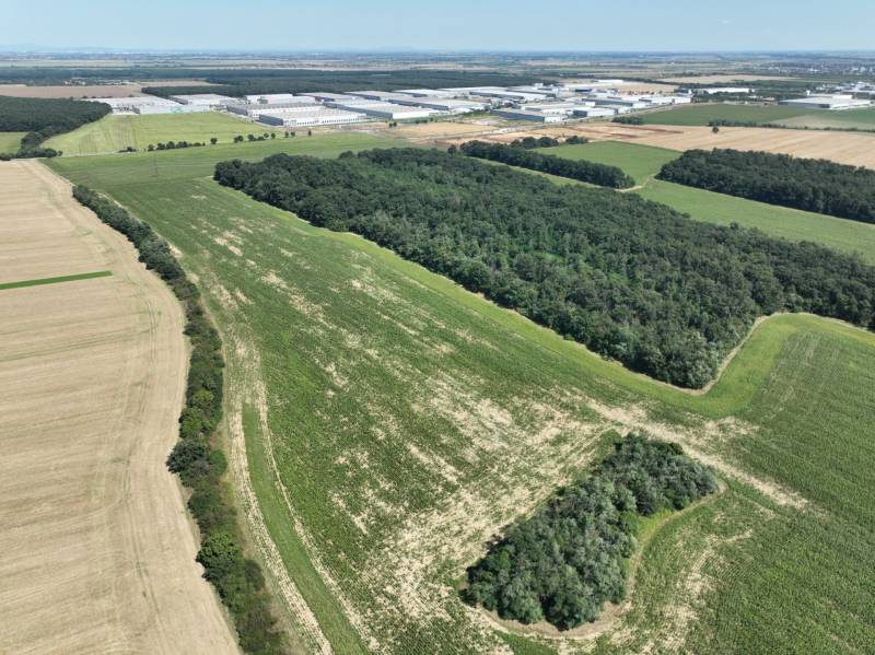 PREDAJ investičného pozemku Senec  - pozemok zhora - smer senecke sklady.jpg