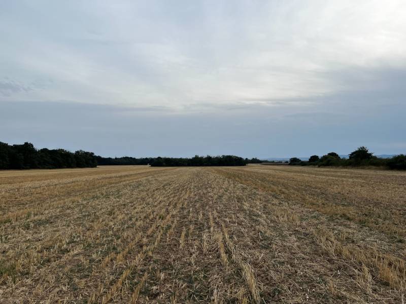 PREDAJ investičného pozemku Senec  - pozemok.jpg