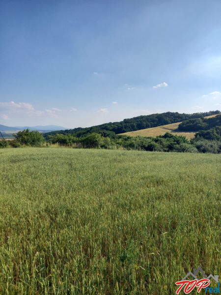 Predaj pozemok - orná pôda v obci Nižná Hutka