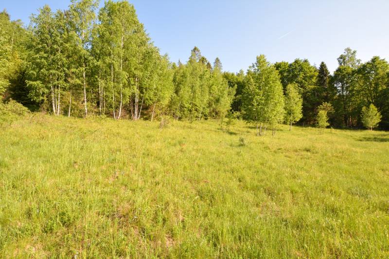 EXKLUZÍVNE stavebný pozemok, Nálepkovo časť Tretí Hámor, okres Gelnica - 23.jpg