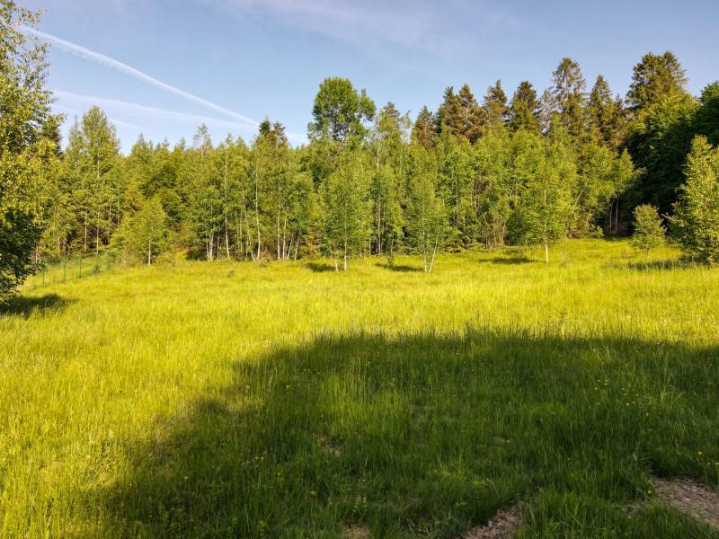 EXKLUZÍVNE stavebný pozemok, Nálepkovo časť Tretí Hámor, okres Gelnica - 7.jpg