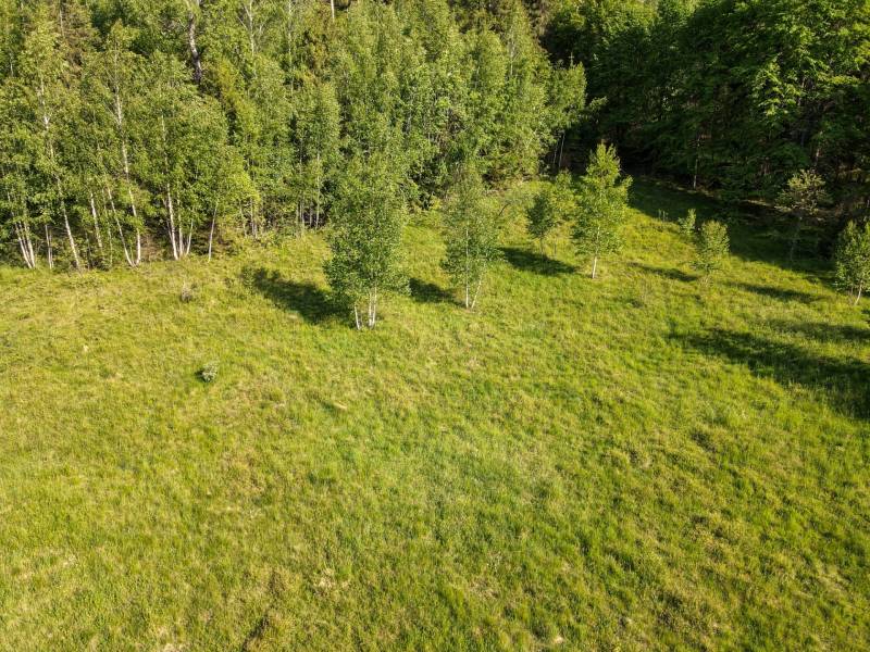 EXKLUZÍVNE stavebný pozemok, Nálepkovo časť Tretí Hámor, okres Gelnica - 13.jpg