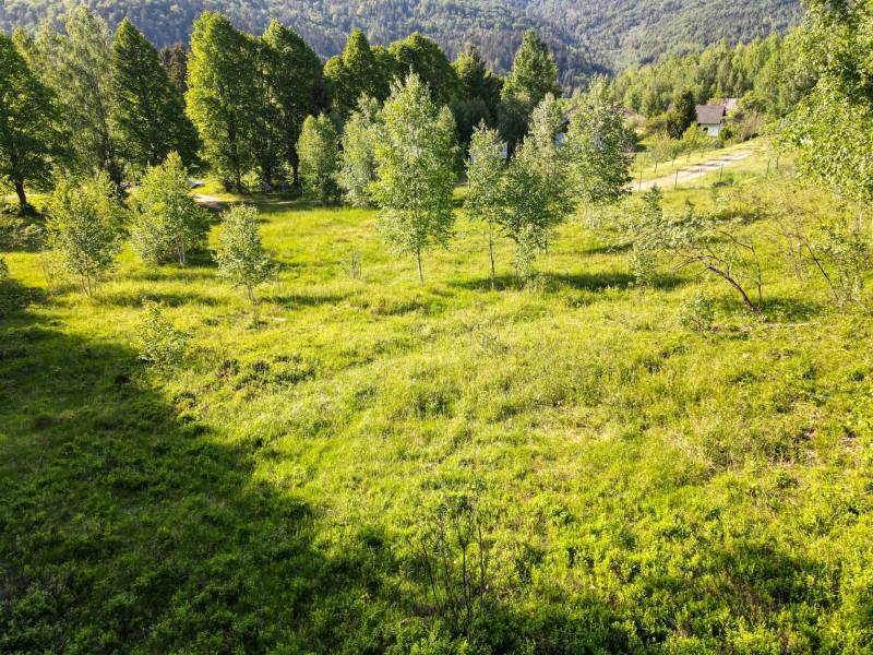 EXKLUZÍVNE stavebný pozemok, Nálepkovo časť Tretí Hámor, okres Gelnica - 10.jpg