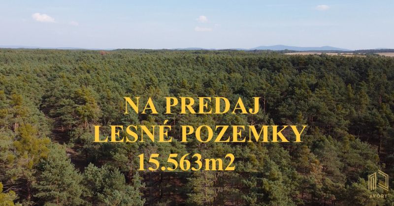 LESNÉ POZEMKY 15.563m2, BORSKÝ MIKULÁŠ, okr. SENICA