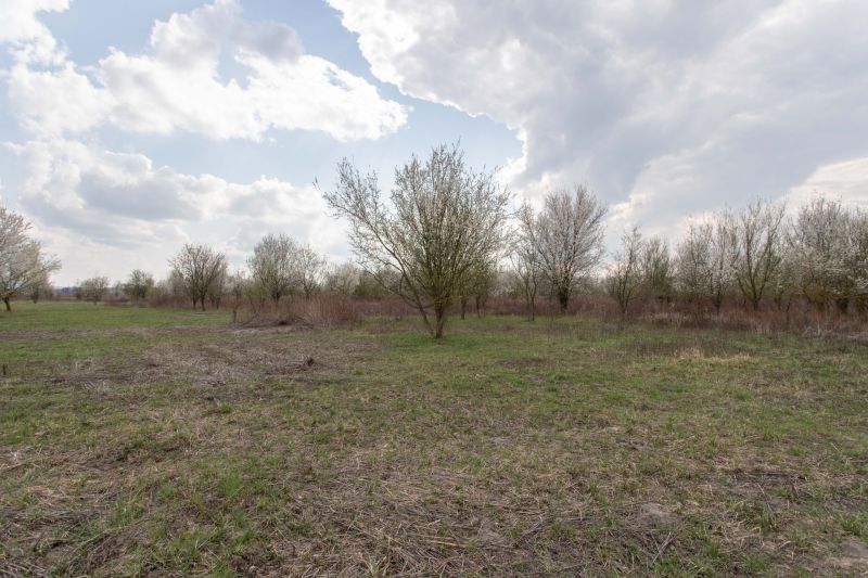 NA PREDAJ pozemok o výmere 400 m2 v Zohore - záhrada