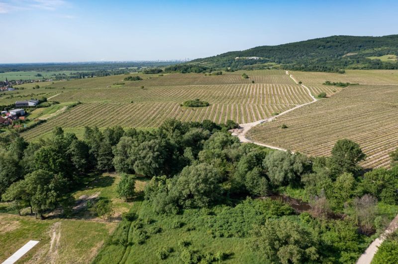 PREDAJ 3 izbového bytu s balkónom Prémiova novostavba Pezinok A0+